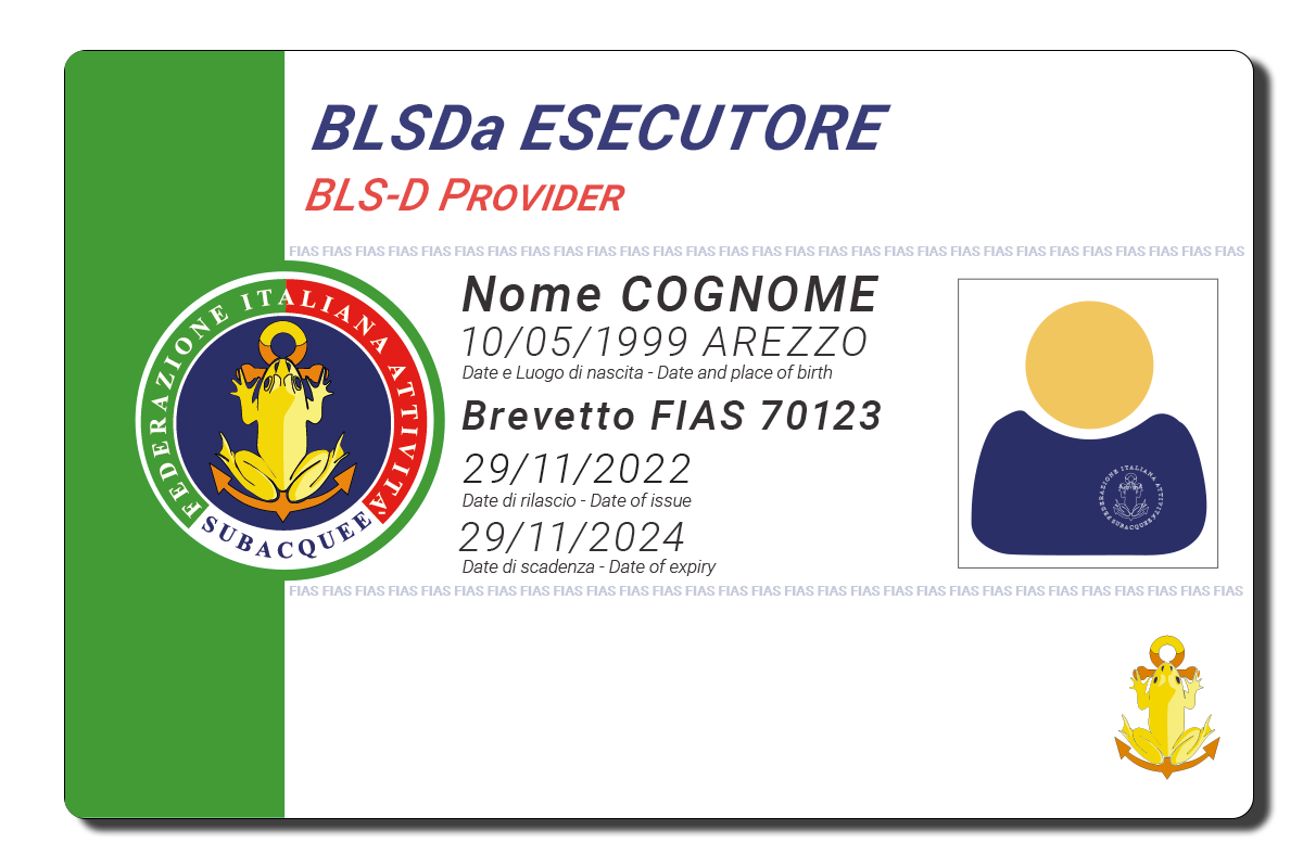 BLSDa Esecutore